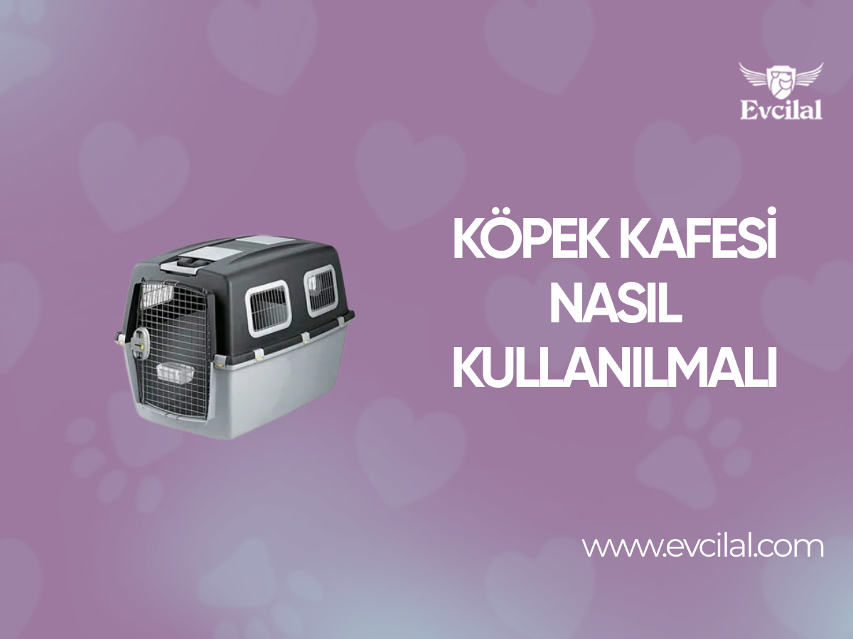 Köpek Kafesi Nasıl Kullanılmalı