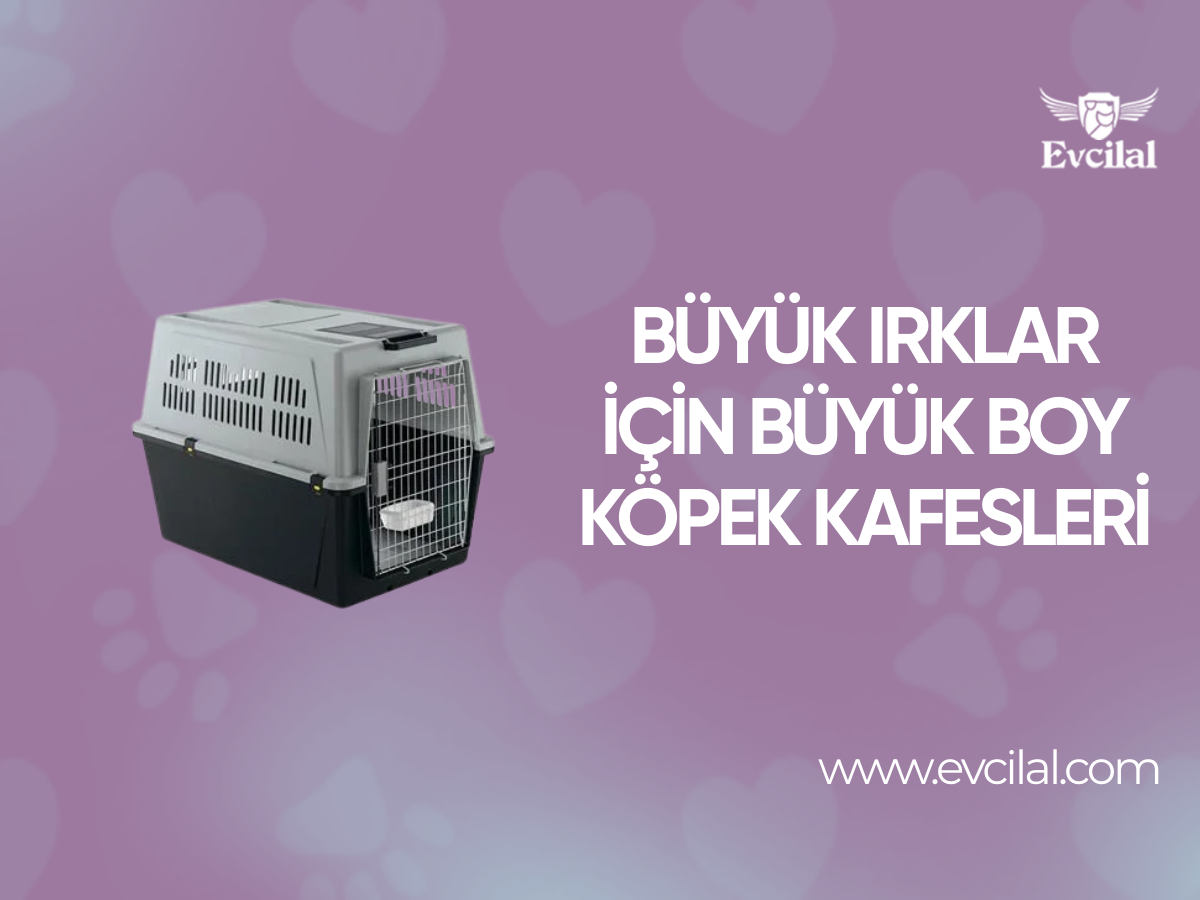 Büyük Boy Köpekler İçin Özel Tasarlanan Büyük Boy Köpek Kafesi Modelleri