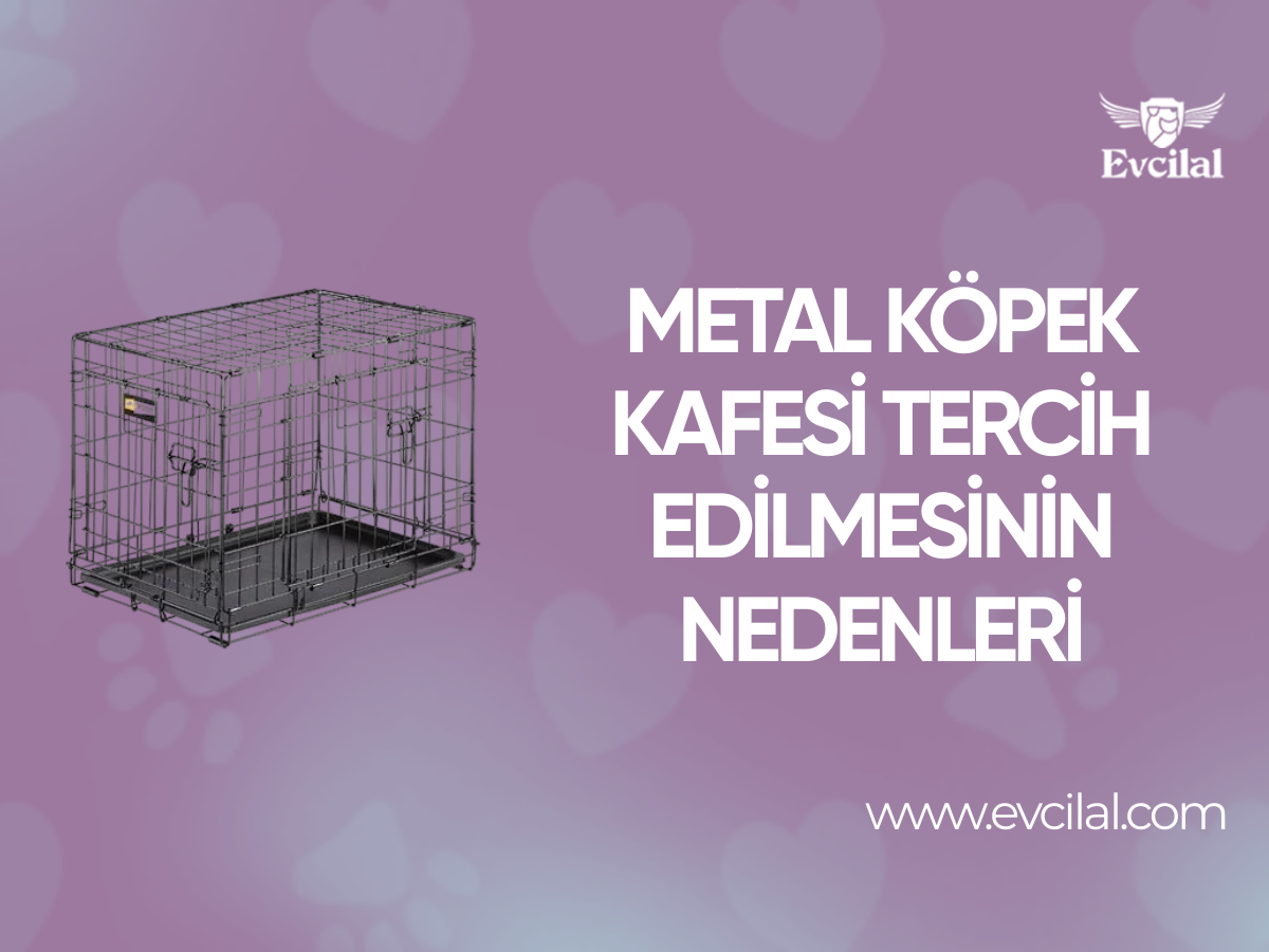Metal Köpek Kafesi Tercih Edilmesinin Nedenleri
