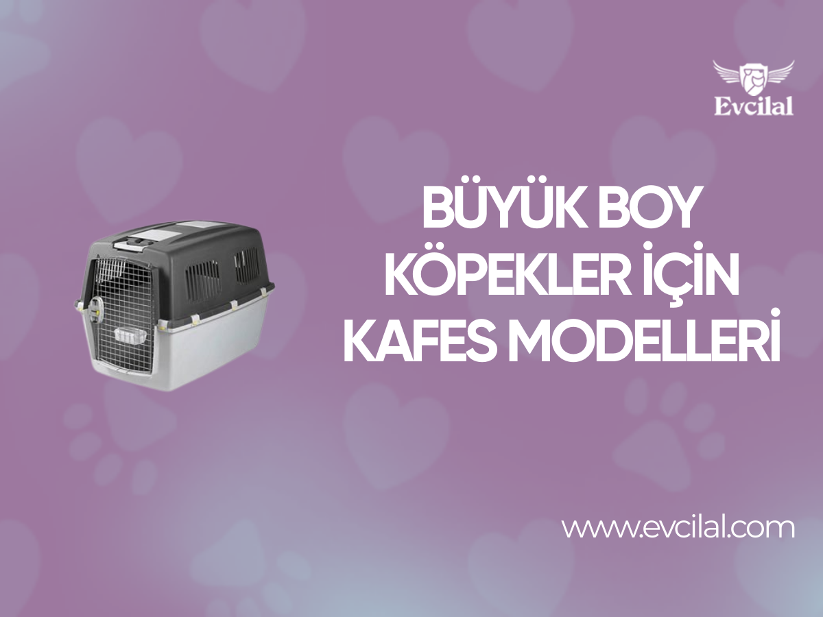 Büyük Boy Köpekler İçin Kafes Modelleri 