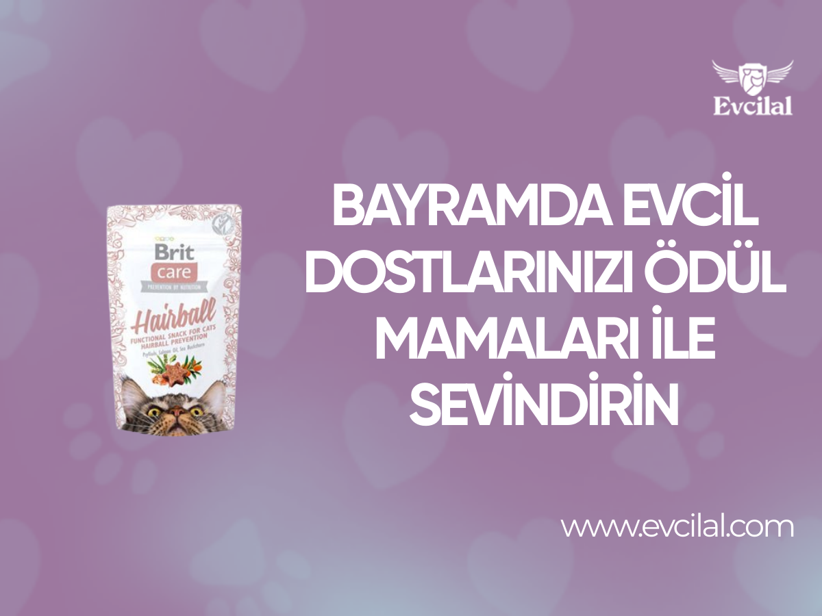 Bayramda Evcil Dostlarınızı Ödül Mamaları İle Sevindirin