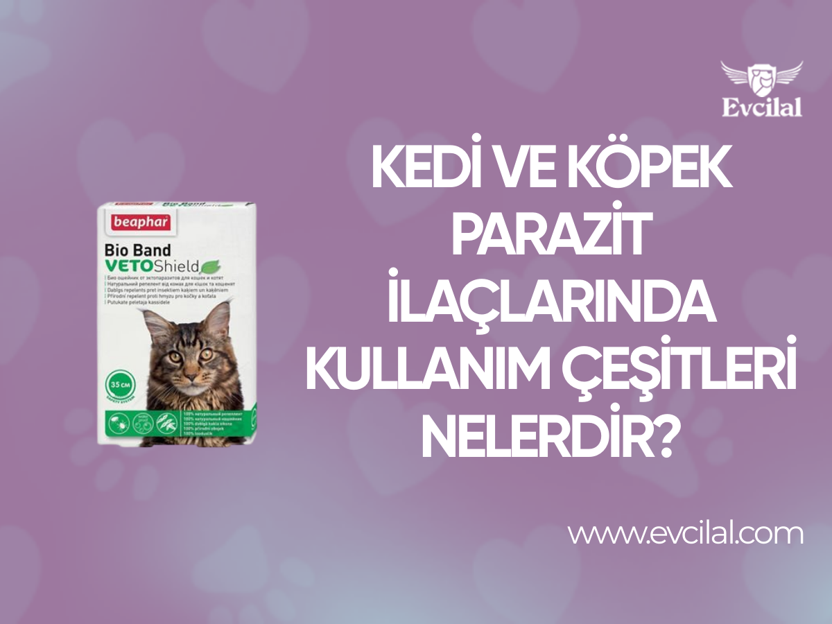 Kedi Ve Köpek Parazit İlaçlarında Kullanım Çeşitleri Nelerdir?