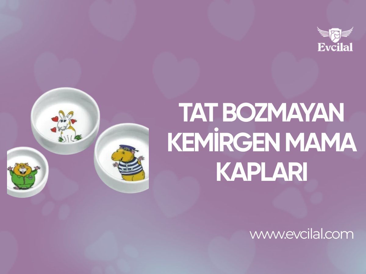 Mamanın Ve Suyun Tadını Bozmayan Kemirgen Mama Kabı Modelleri