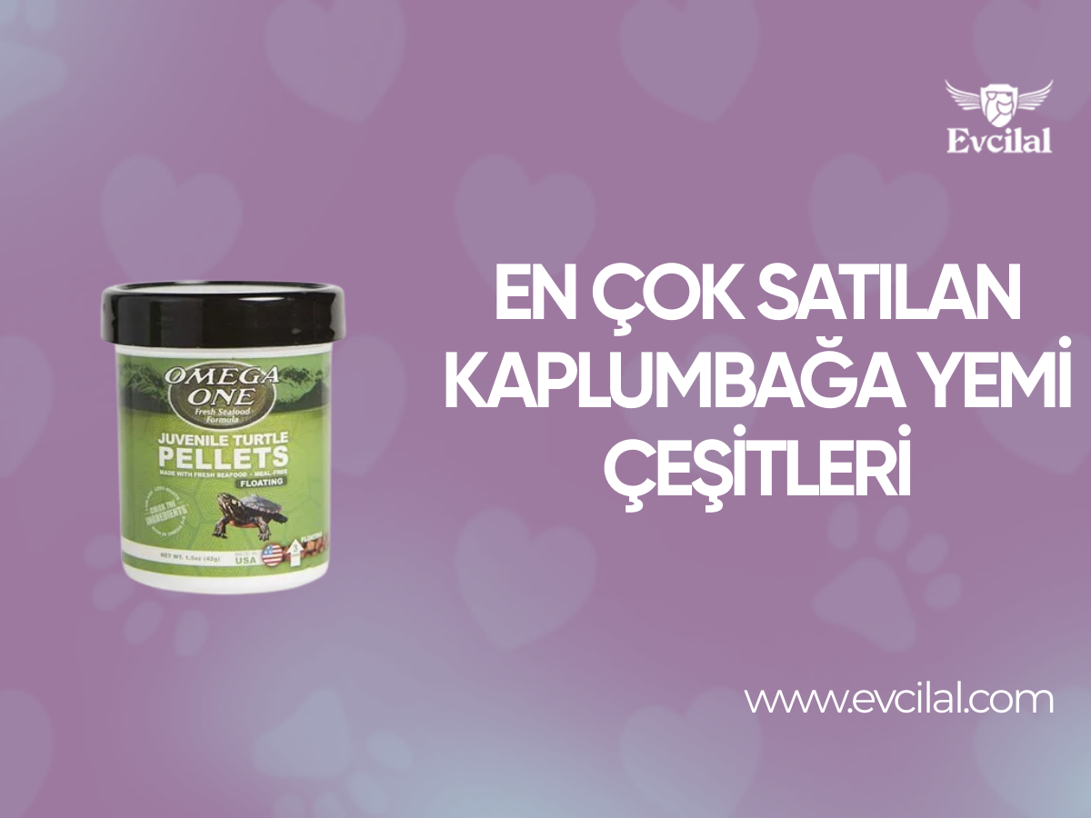 En Çok Satılan Kaplumbağa Yemi Çeşitleri