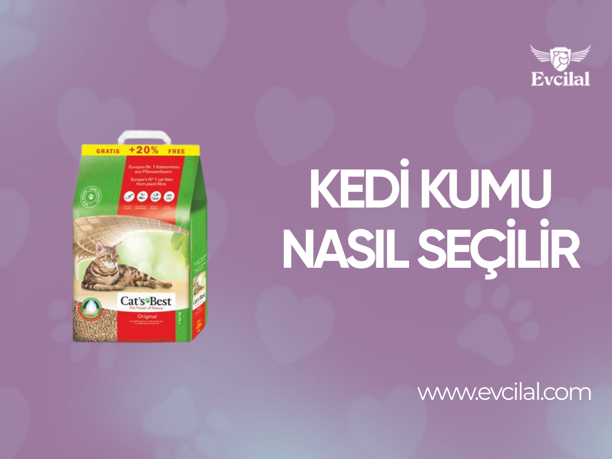 Kedi Kumu Nasıl Seçilir