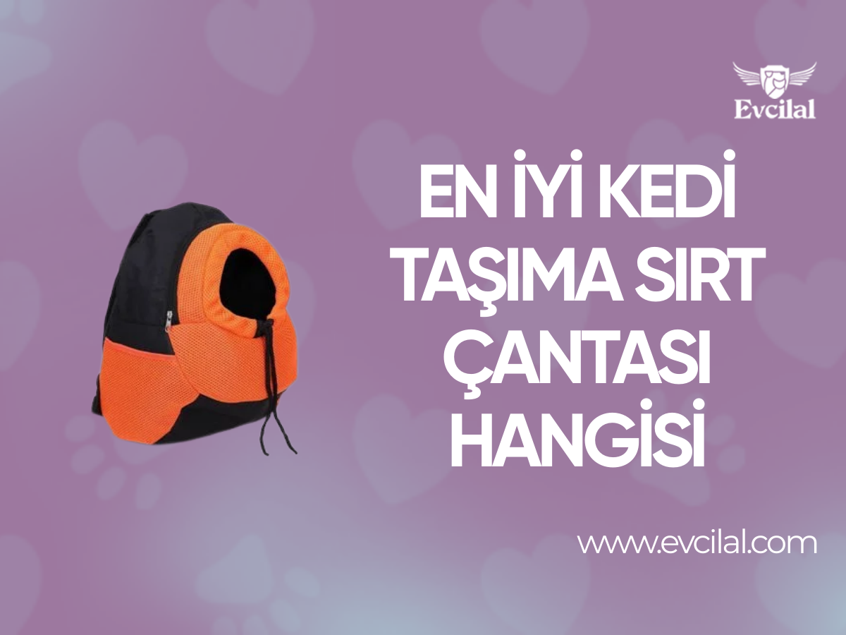 En İyi Kedi Taşıma Sırt Çantası Hangisi