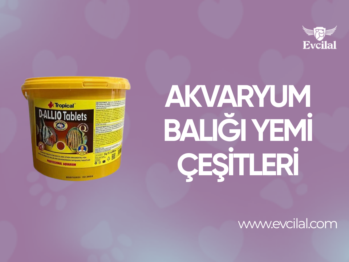 Akvaryum Balıkları İçin Kullanabileceğiniz Balık Yemi Çeşitleri Neler