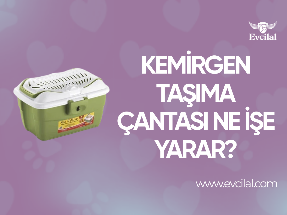 Kemirgen Taşıma Çantası Ne İşe Yarar