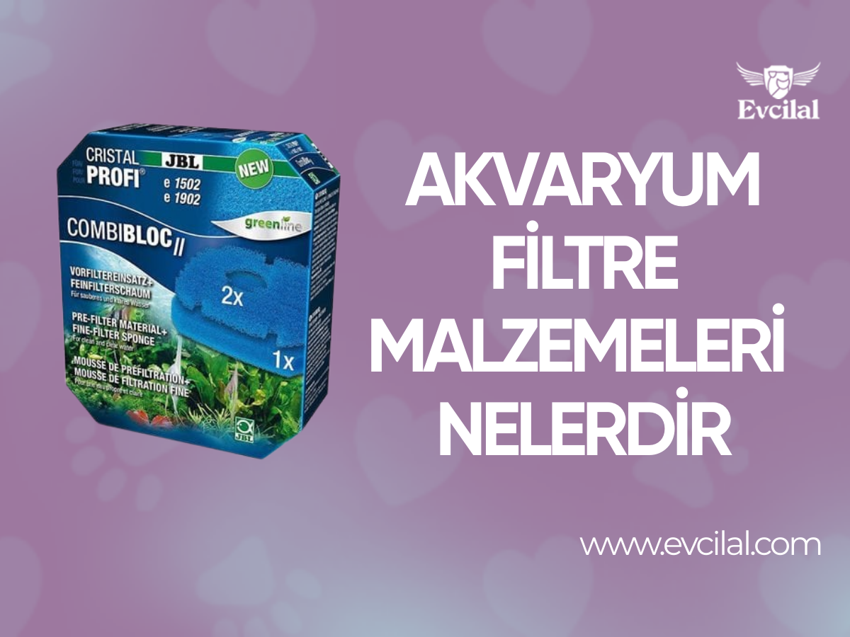 Akvaryum Filtre Malzemeleri Nelerdir