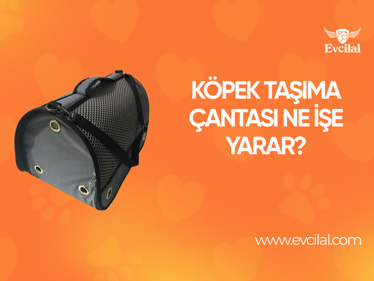 Köpek Taşıma Çantası Ne İşe Yarar