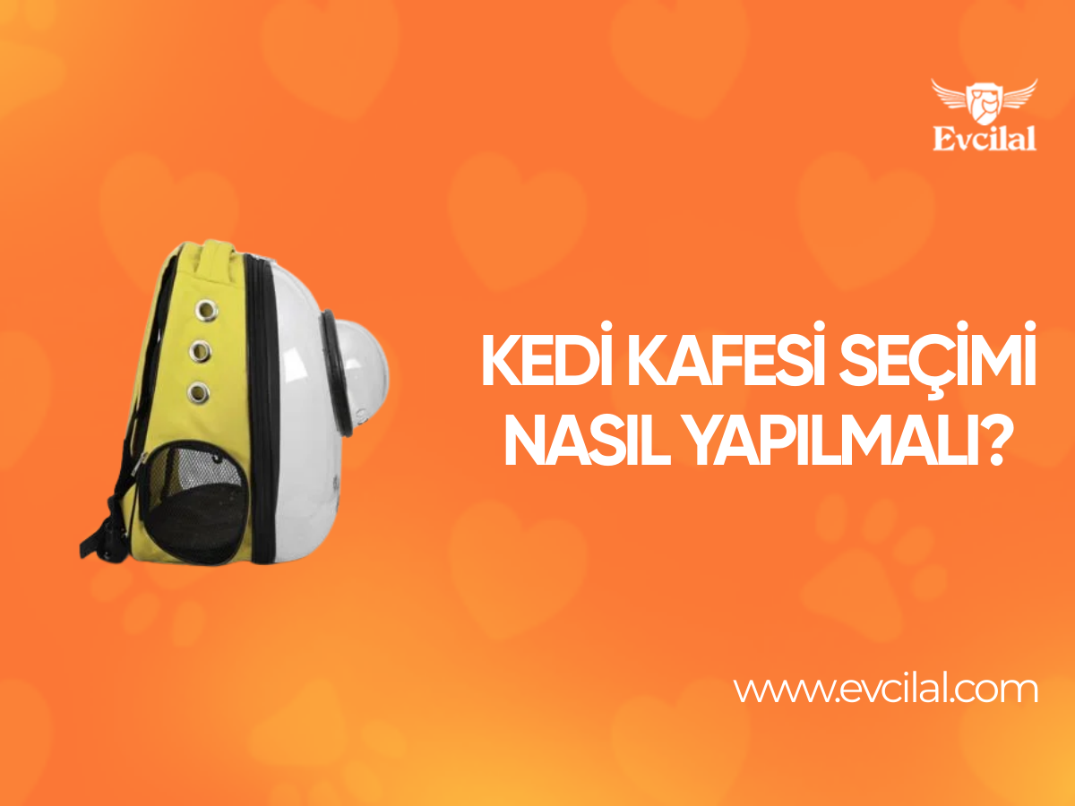 Kedi Kafesi Seçimi Nasıl Yapılmalı