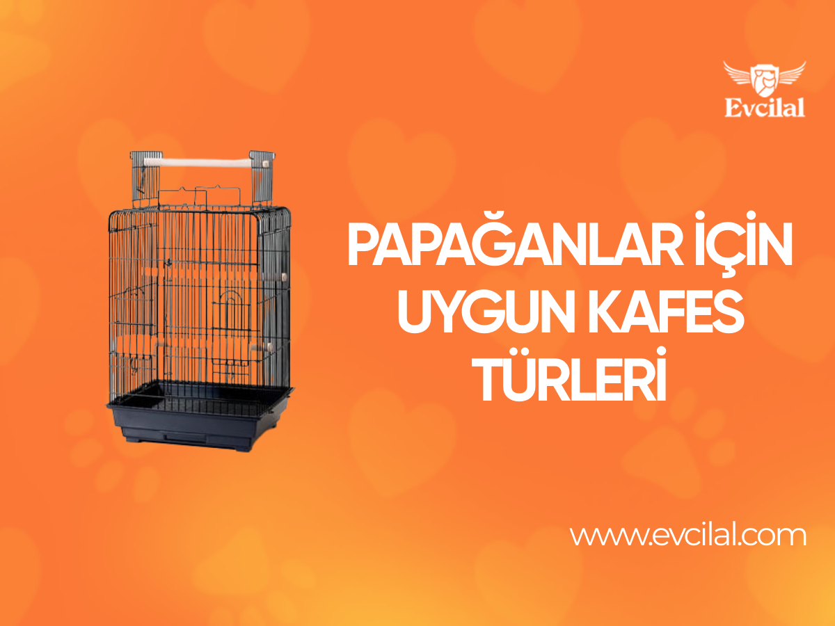 Papağanlar İçin Tercih Edebileceğiniz Papağan Kafesi Çeşitleri Neler?