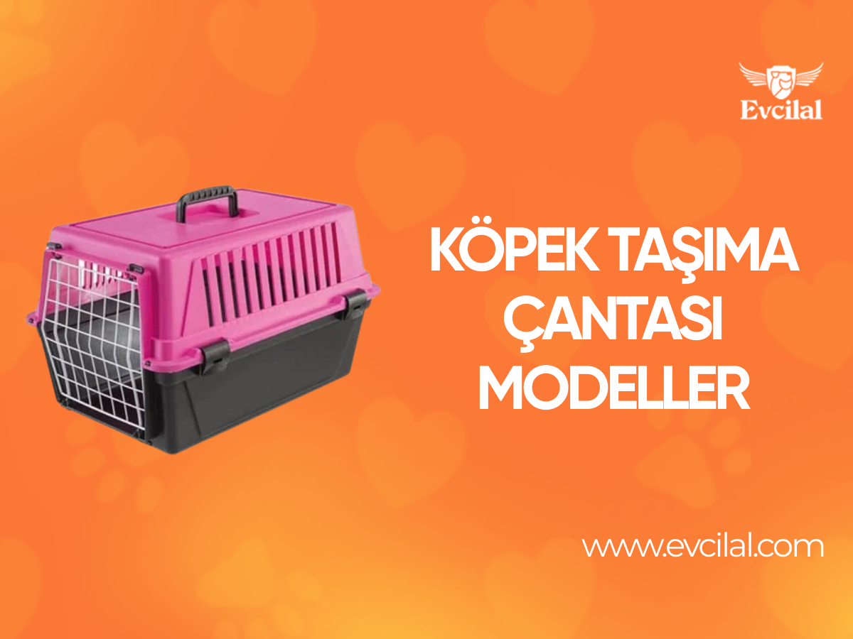 Köpeği İle Seyahat Edenlerin Tercih Ettiği Köpek Taşıma Çantası Modelleri Neler