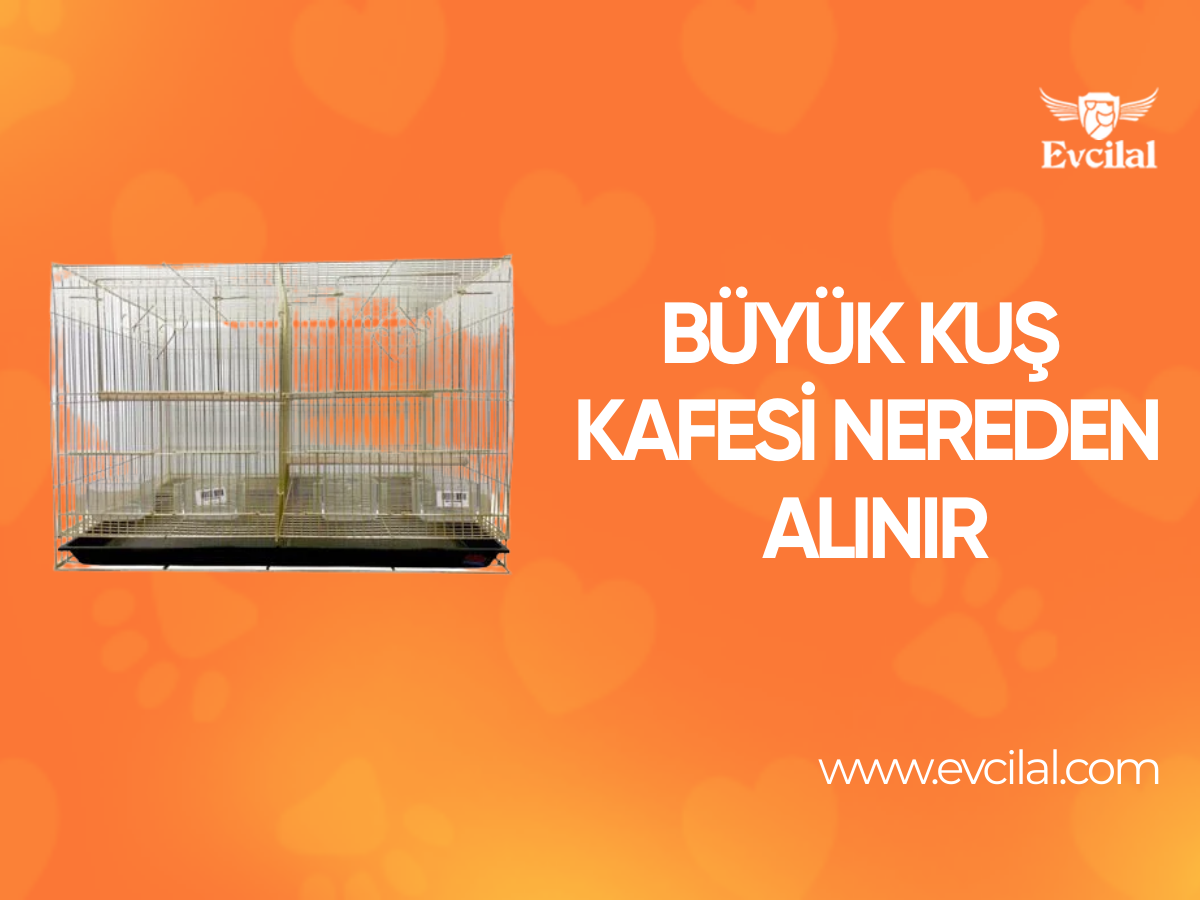 Büyük Kuş Kafesi Nereden Alınır