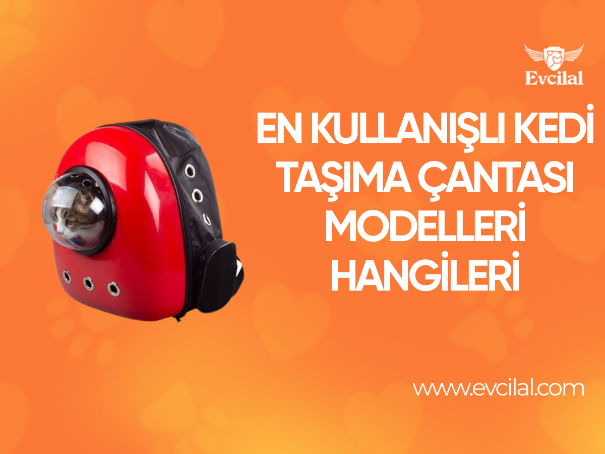 En Kullanışlı Kedi Taşıma Çantası Modelleri Hangileri