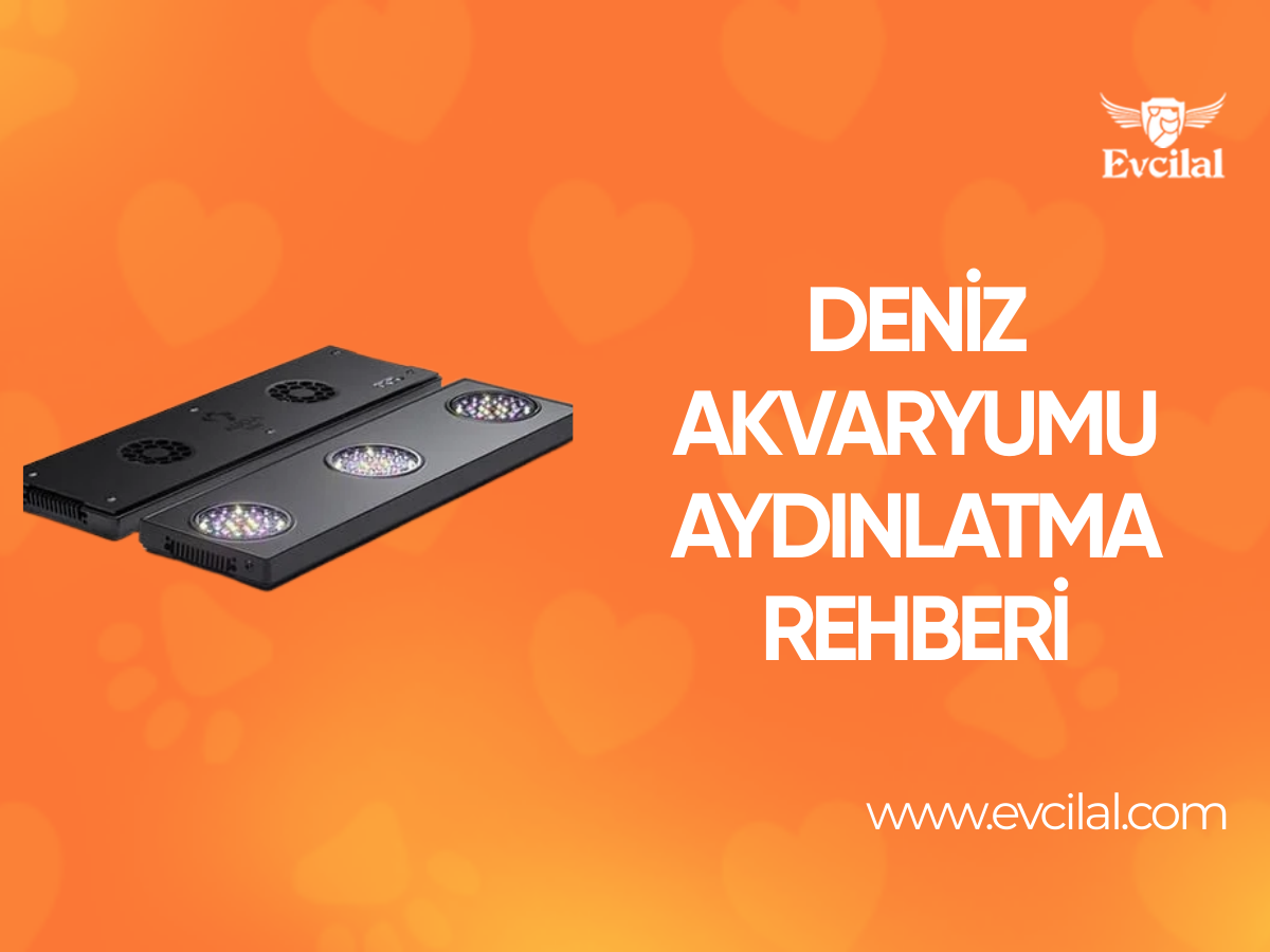 Deniz Akvaryum Aydınlatması Alırken Bilinmesi Gerekenler Neler