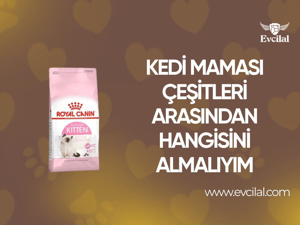 Kedi Maması Çeşitleri Arasından Hangisini Almalıyım