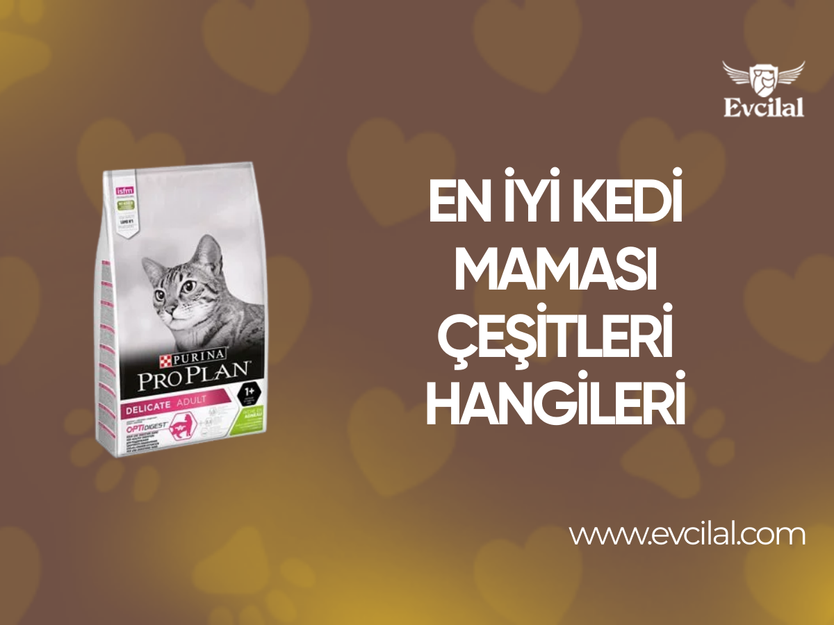 En İyi Kedi Maması Çeşitleri Hangileri