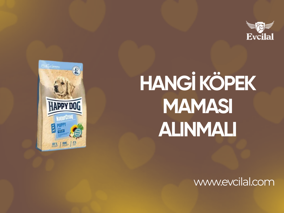 Hangi Köpek Maması Alınmalı