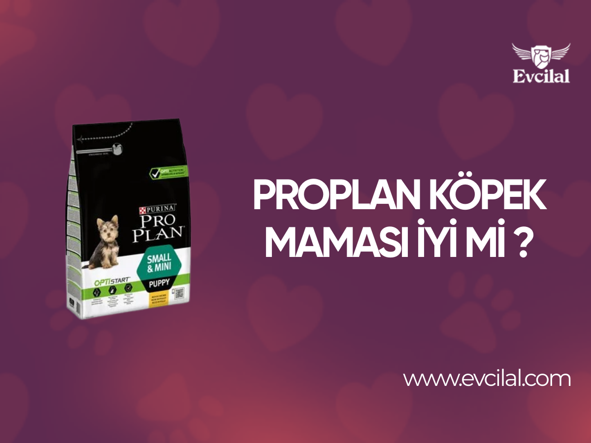 Proplan Köpek Maması İyi Mi