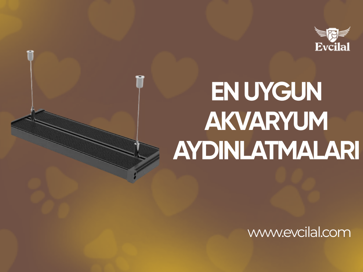 Aradığınız En Uygun Akvaryum Aydınlatma Modelleri Hangileri