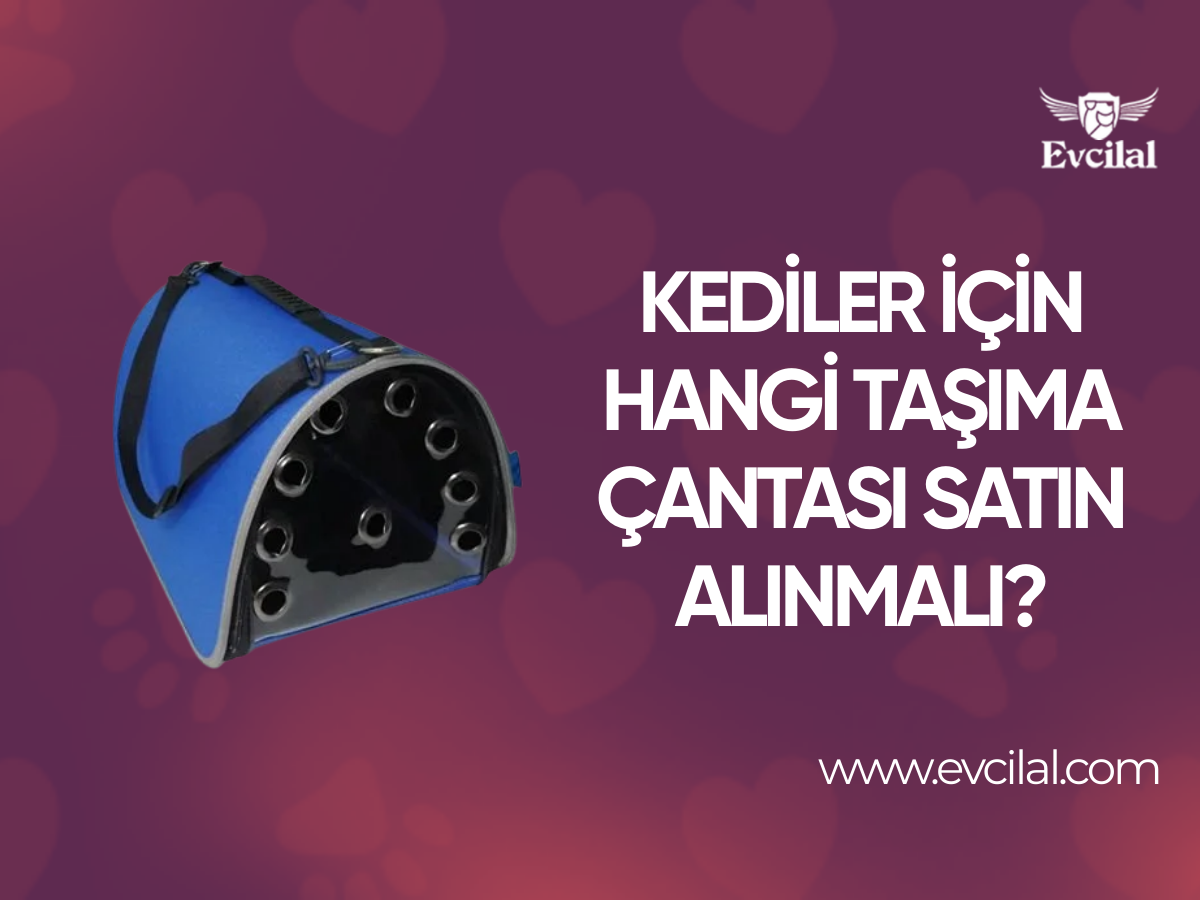 Kediler İçin Hangi Taşıma Çantası Satın Alınmalı?