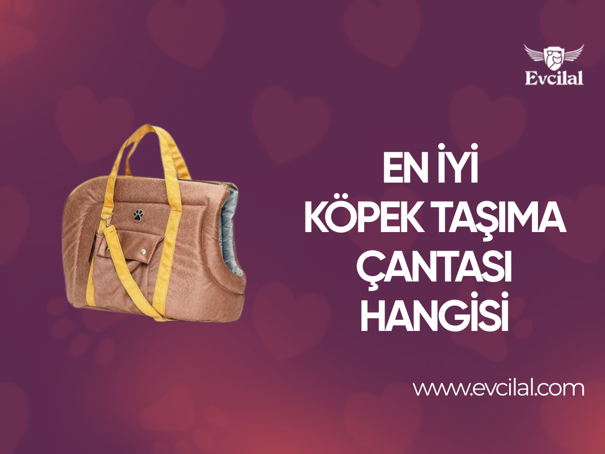 En İyi Köpek Taşıma Çantası Hangisi