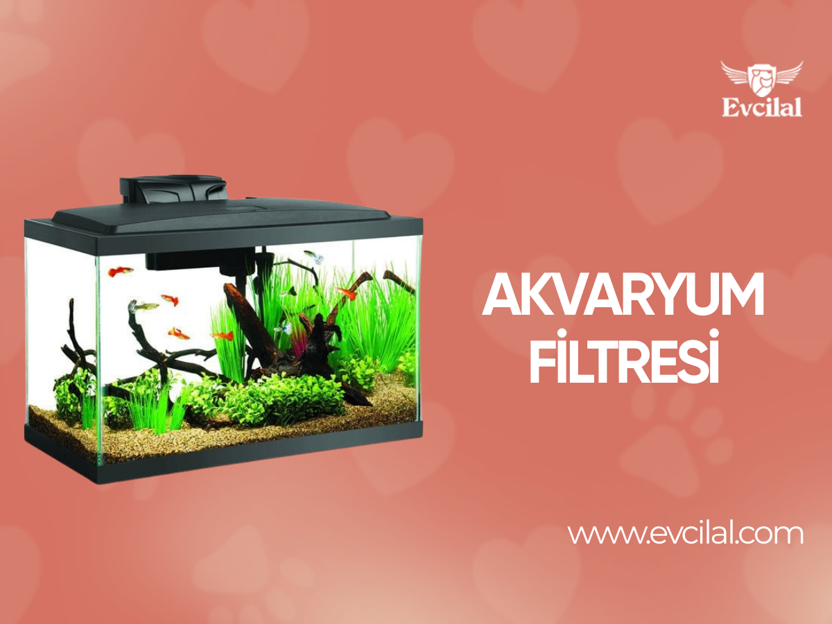Akvaryum Filtresi