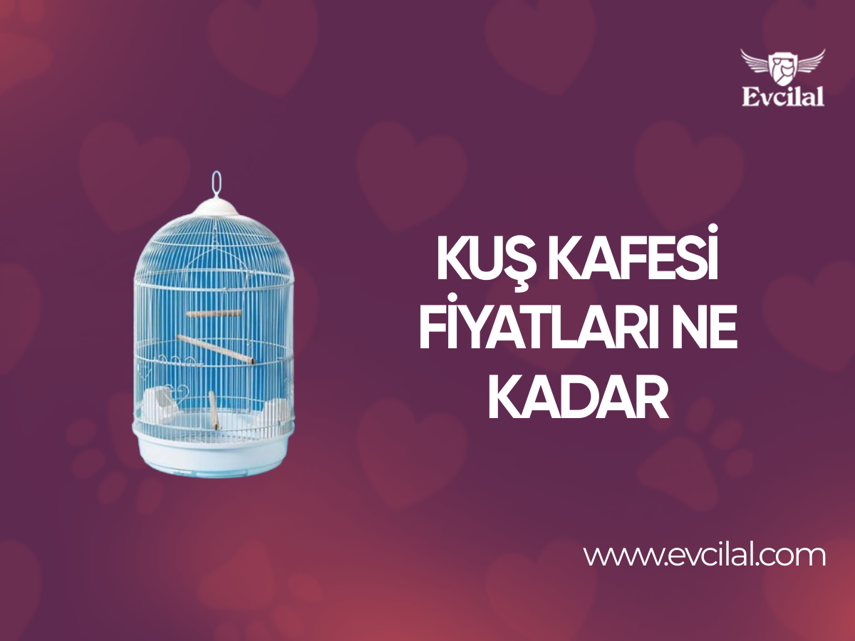 Kuş Kafesi Fiyatları Ne Kadar