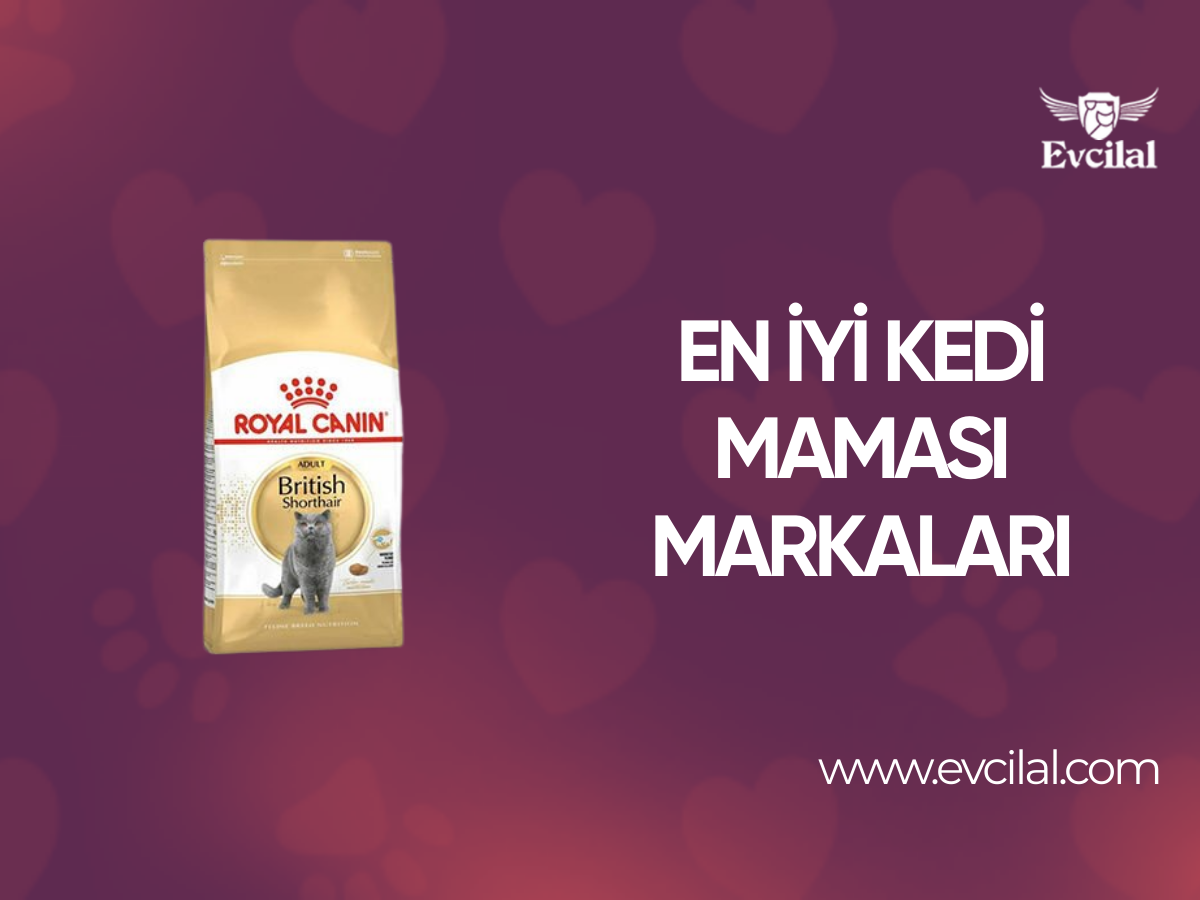 En İyi Kedi Maması Markaları