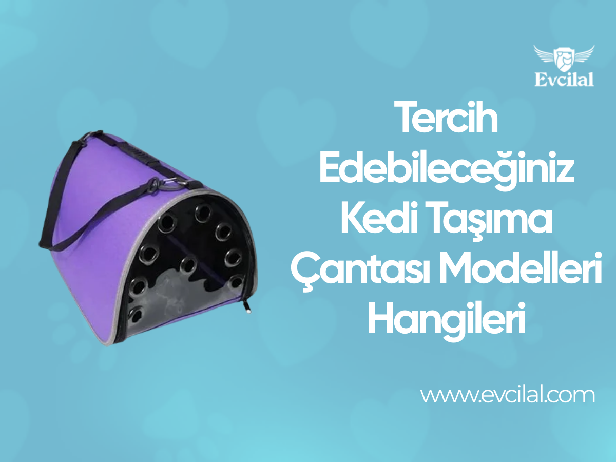 Tercih Edebileceğiniz Kedi Taşıma Çantası Modelleri Hangileri