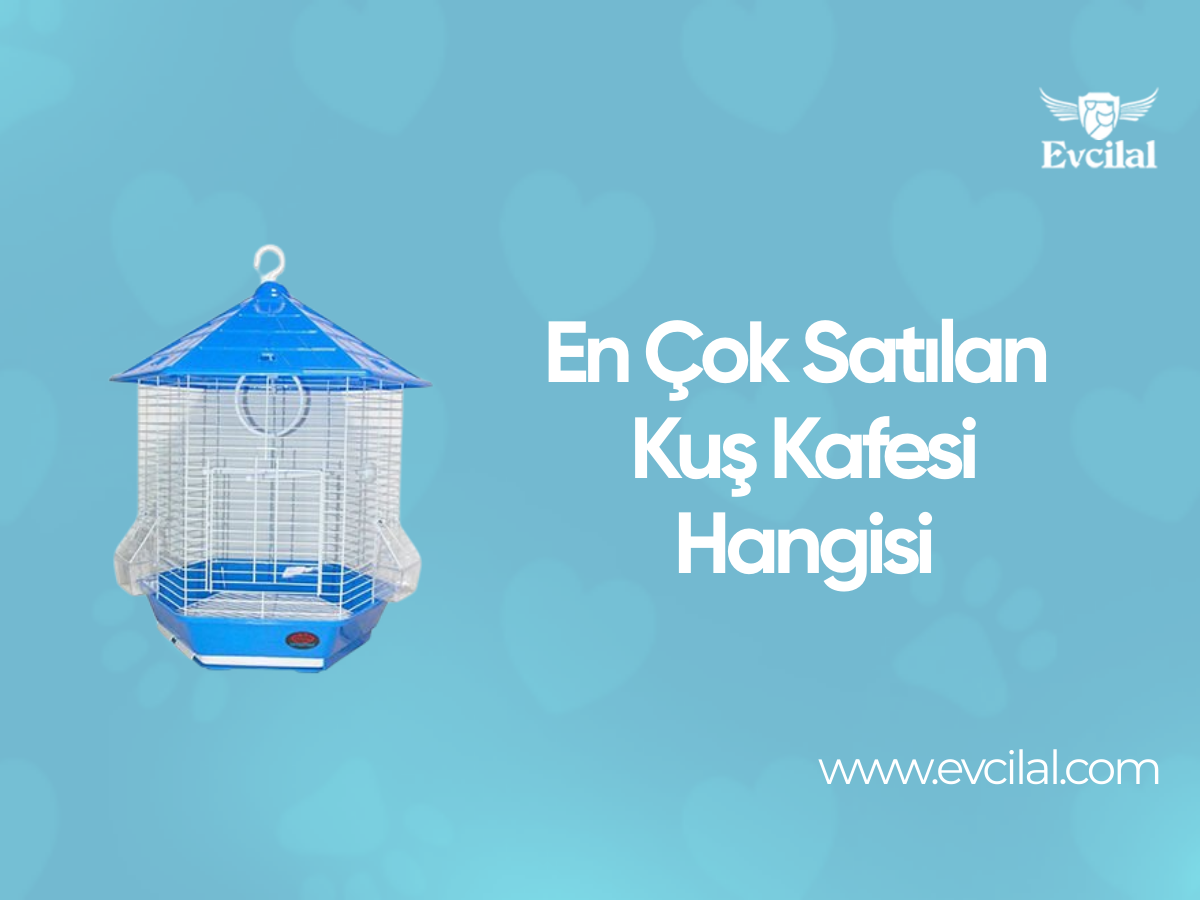 En Çok Satılan Kuş Kafesi Hangisi
