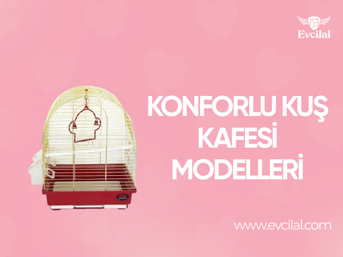 Kuş Kafesi Modelleri İle Kuşunuz İçin Konforlu Bir Yuva Oluşturabilirsiniz