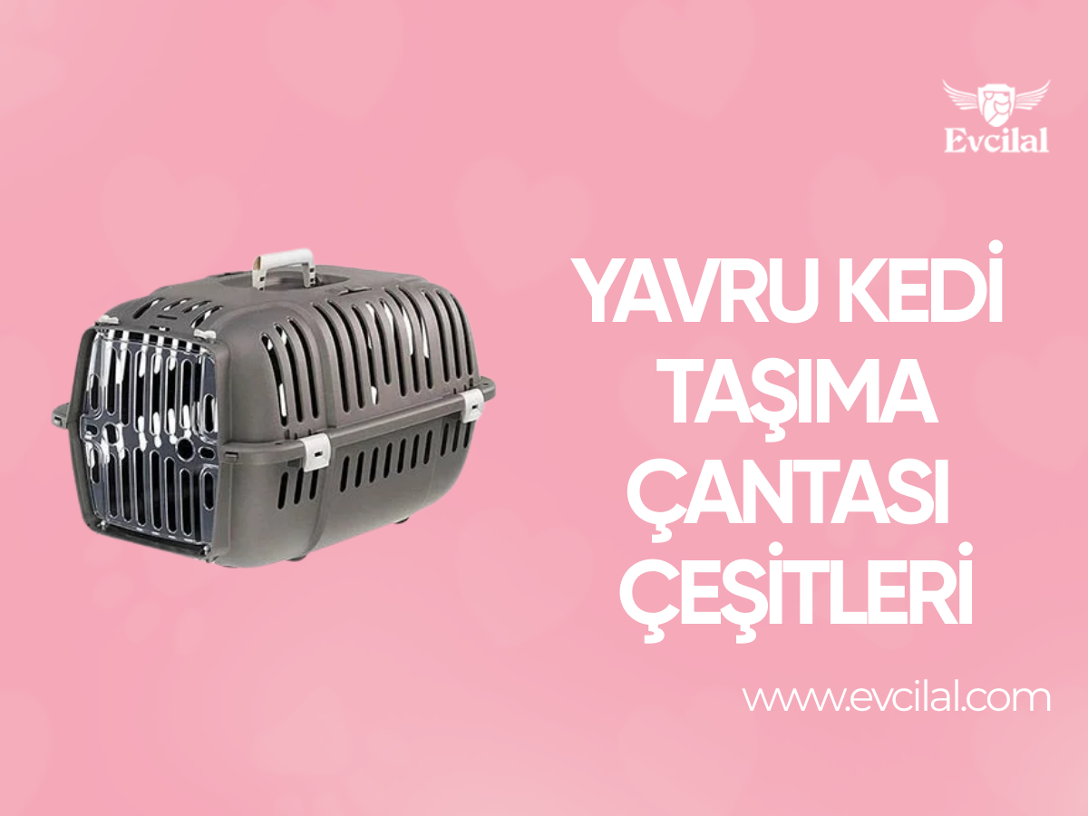 Özellikle Yavru Kediler İçin Kedi Taşıma Çantası Modelleri 