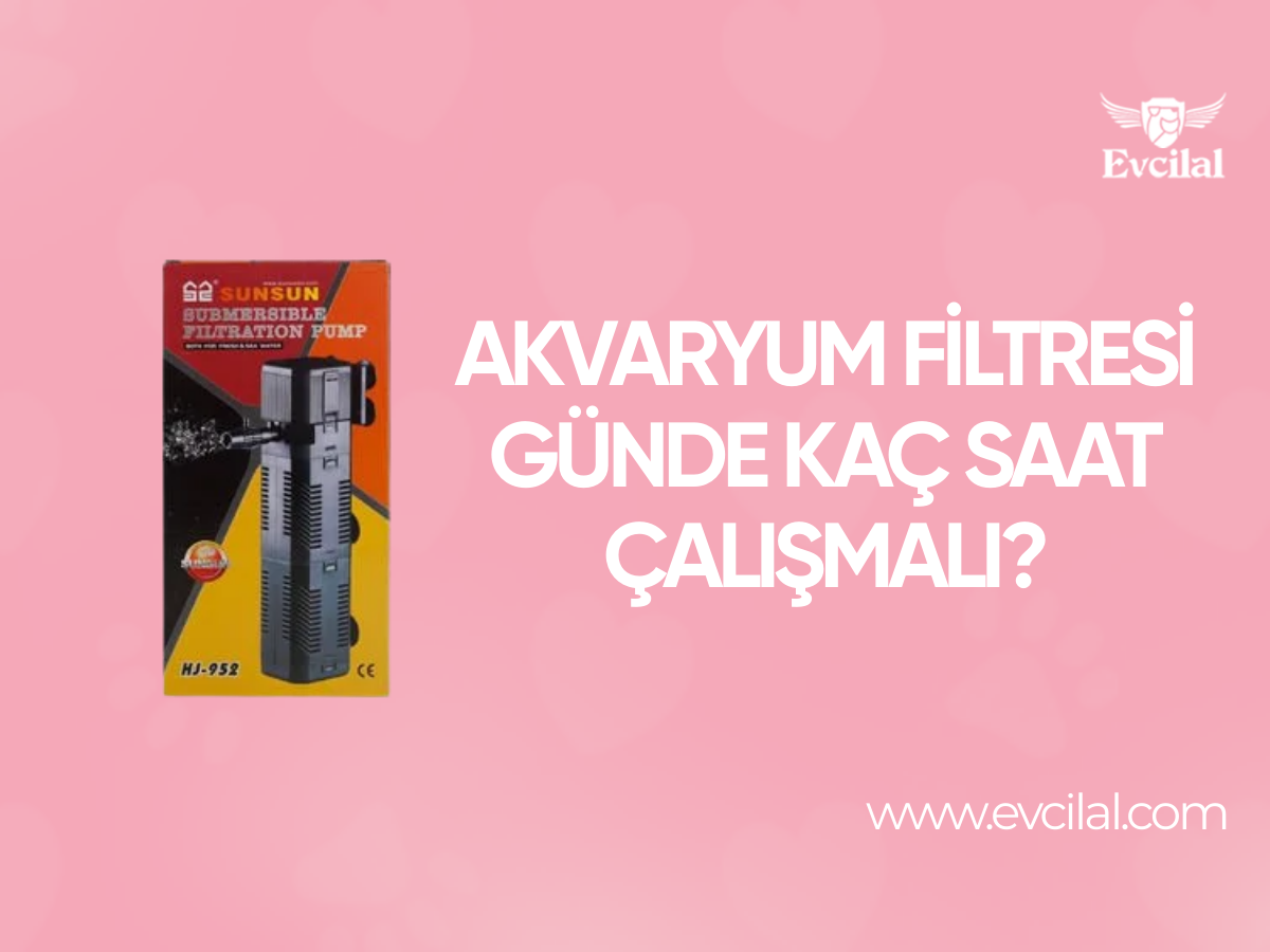 Akvaryum Filtresi Günde Kaç Saat Çalışmalı?
