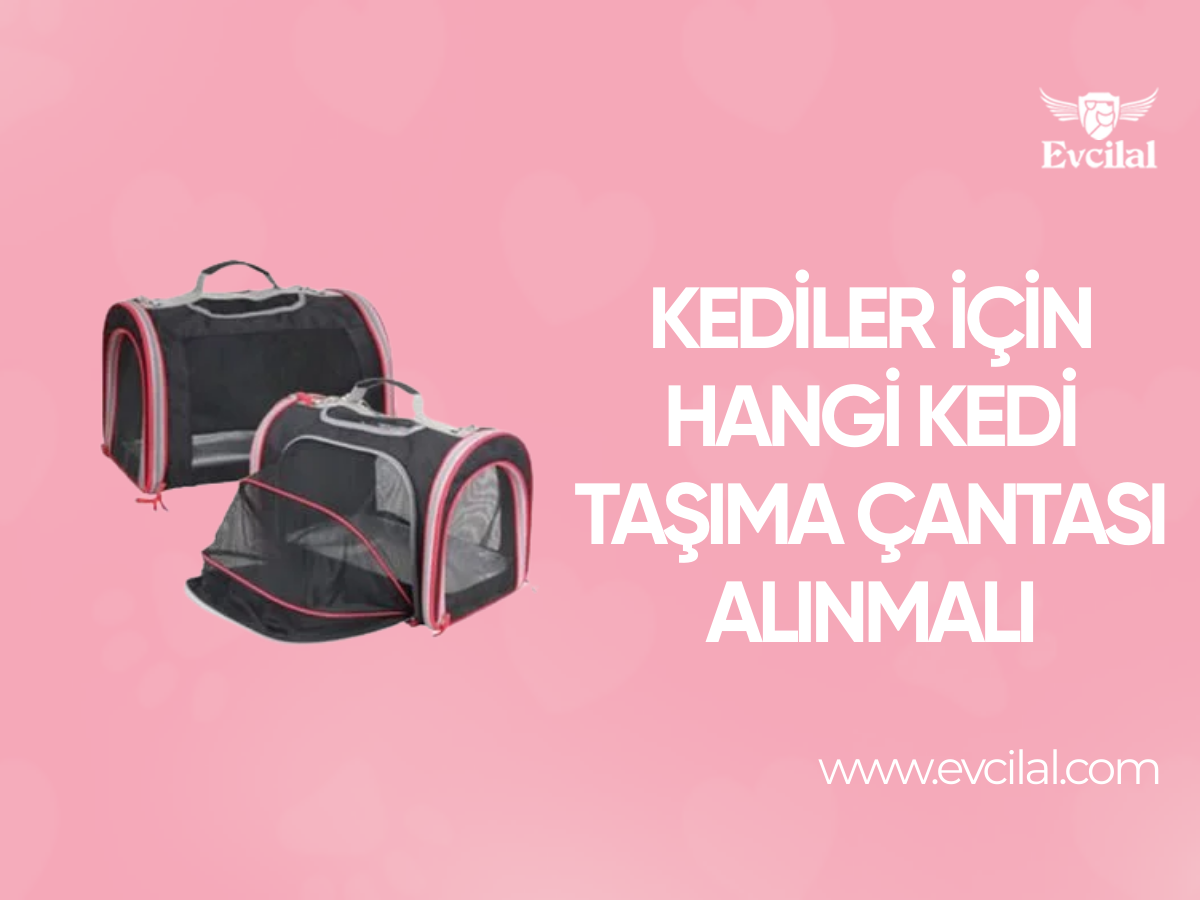 Kediler İçin Hangi Kedi Taşıma Çantası Alınmalı