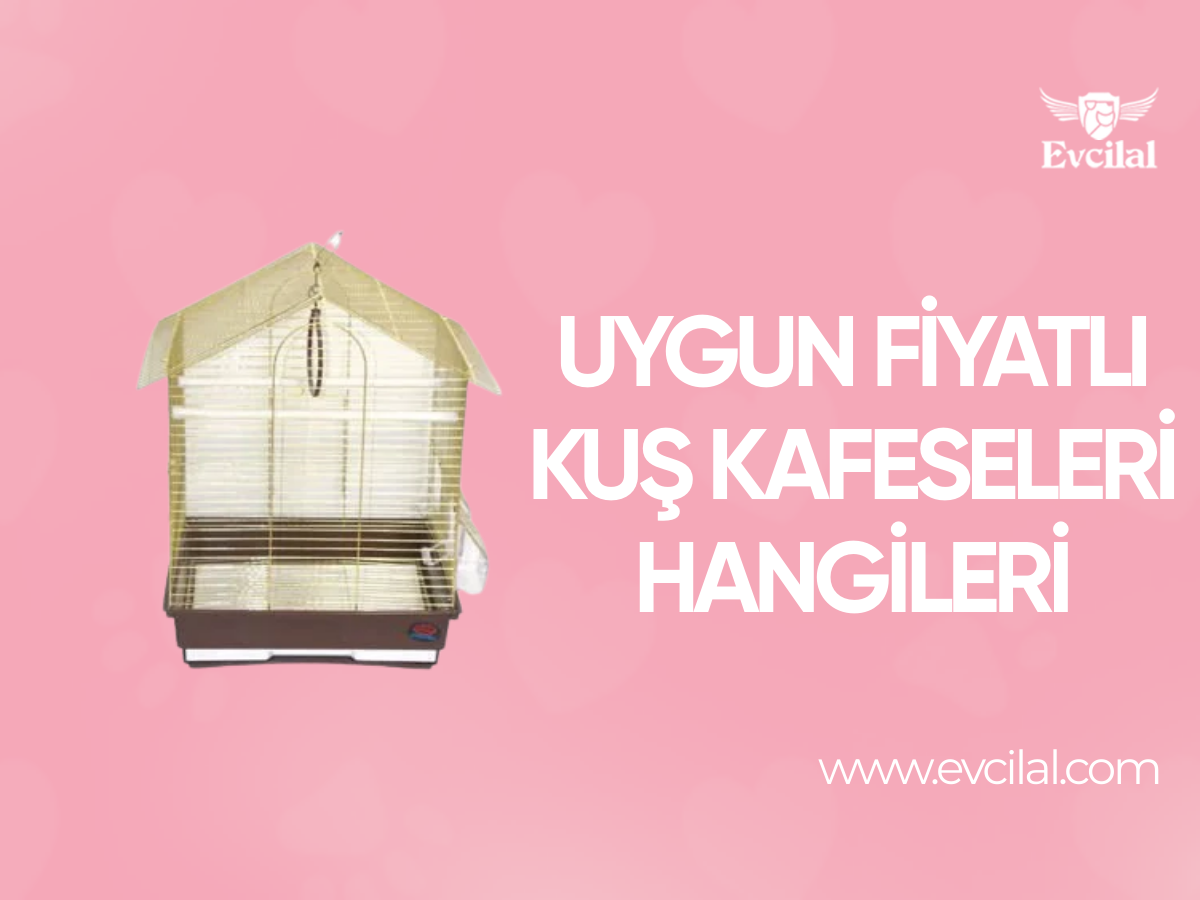 Uygun Fiyatlı Kuş Kafesleri Hangileri?