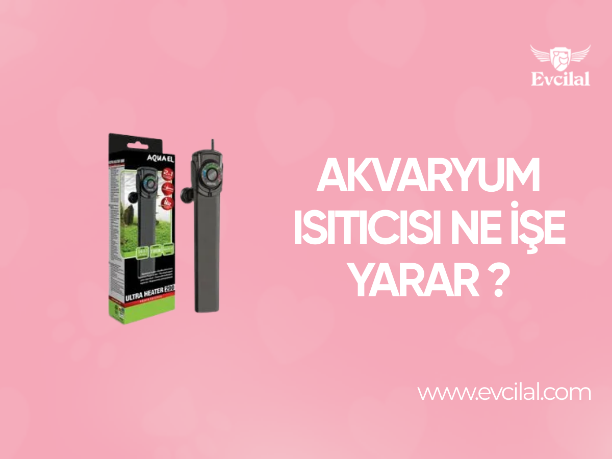 Akvaryum Isıtıcısı Ne İşe Yarar