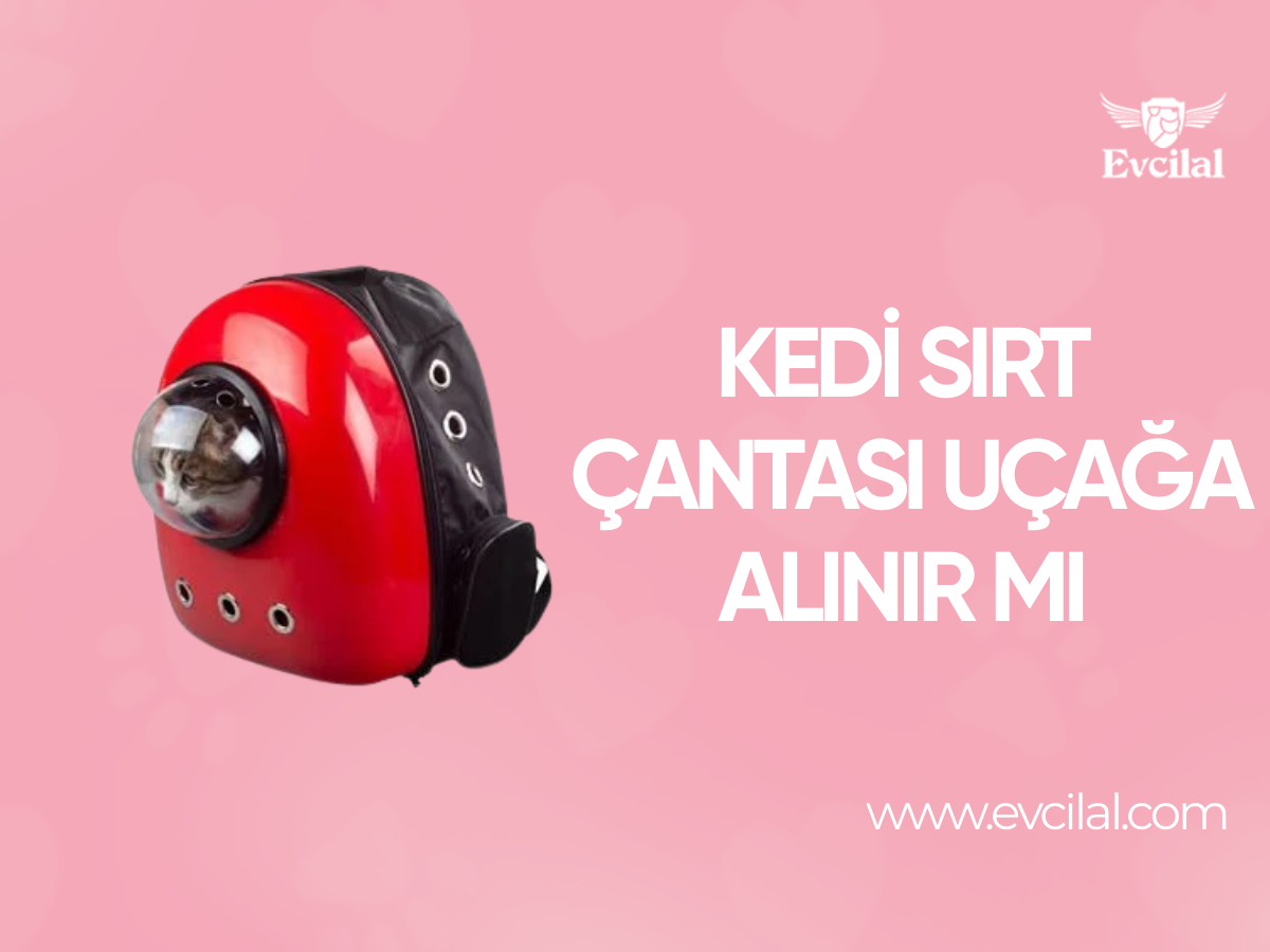 Kedi Sırt Çantası Uçağa Alınır Mı