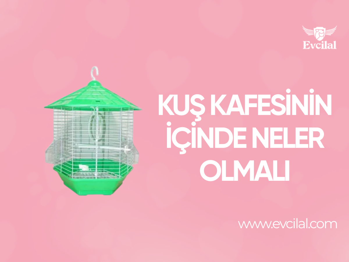 Kuş Kafesinin İçinde Neler Olmalı?