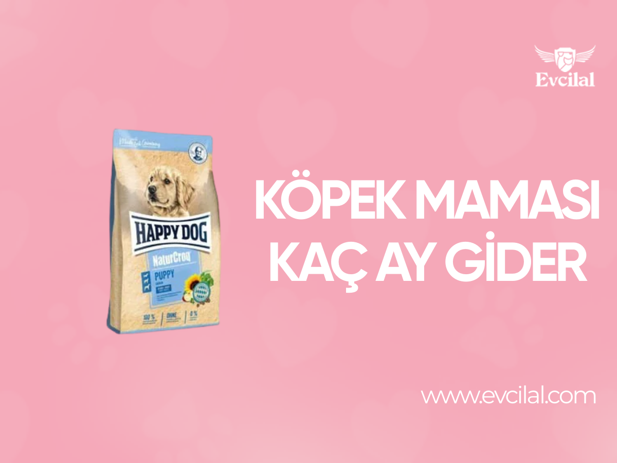 Köpek Maması Kaç Ay Gider