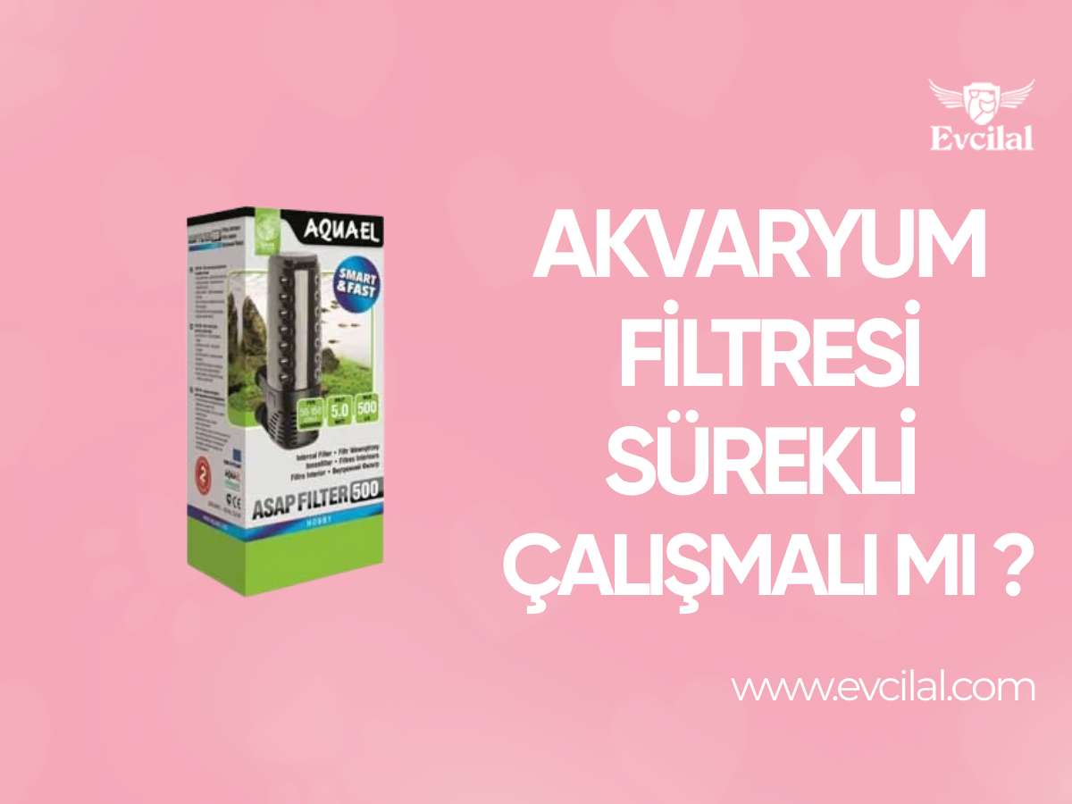 Akvaryum Filtresi Sürekli Çalışmalı mı