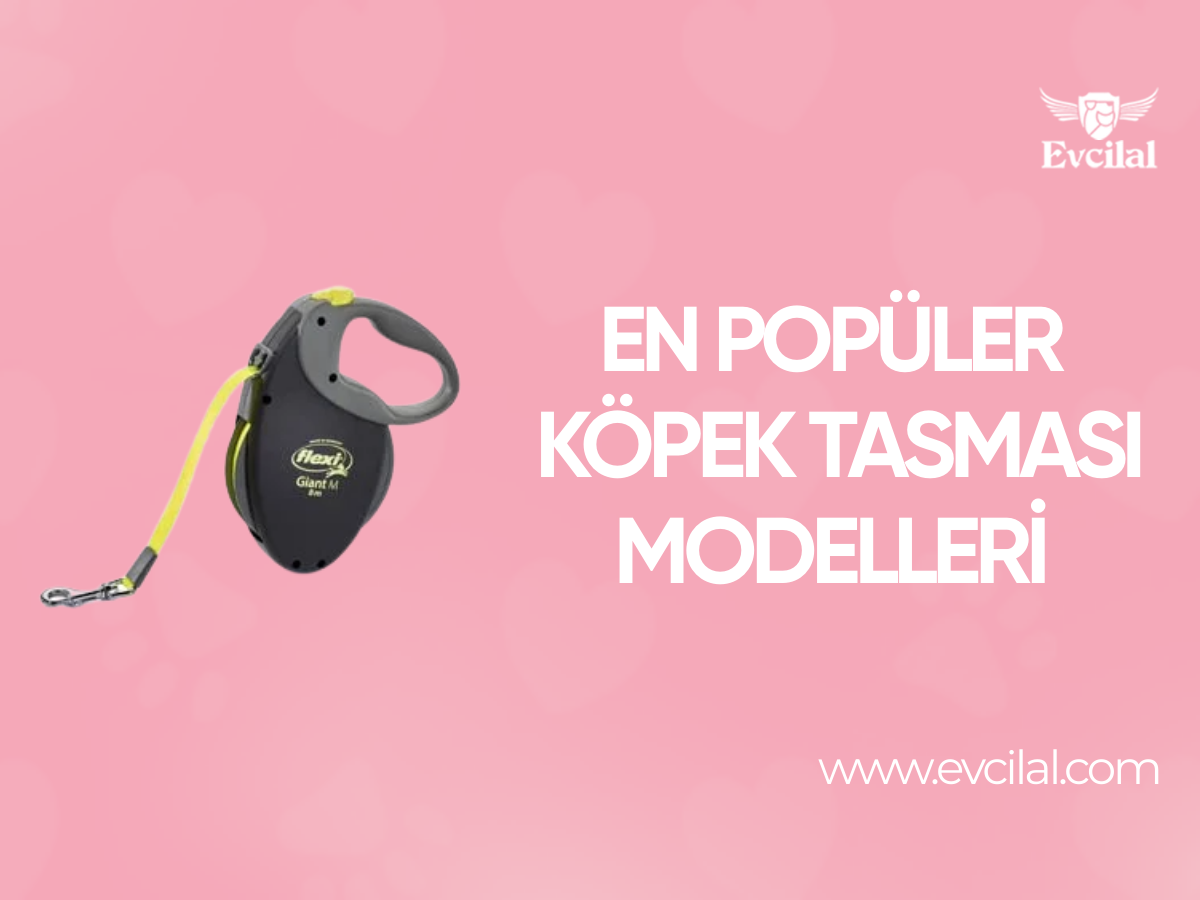 Birbirinden Güzel Köpek Tasması Çeşitleri Hangileri