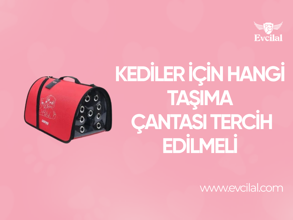 Kediler İçin Hangi Taşıma Çantası Tercih Edilmeli