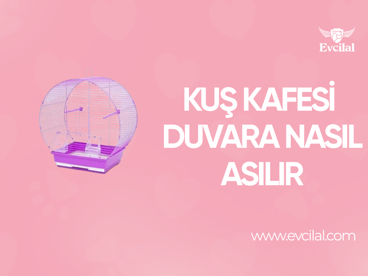 Kuş Kafesi Duvara Nasıl Asılır