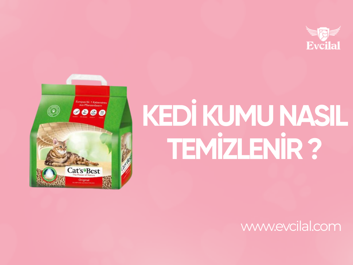 Kedi Kumu Nasıl Temizlenir