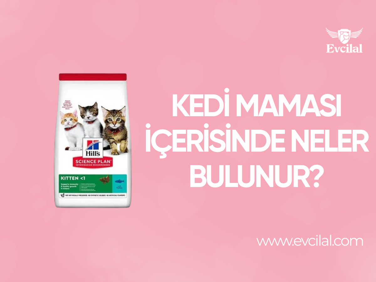 Kedi Maması İçerisinde Neler Bulunur?