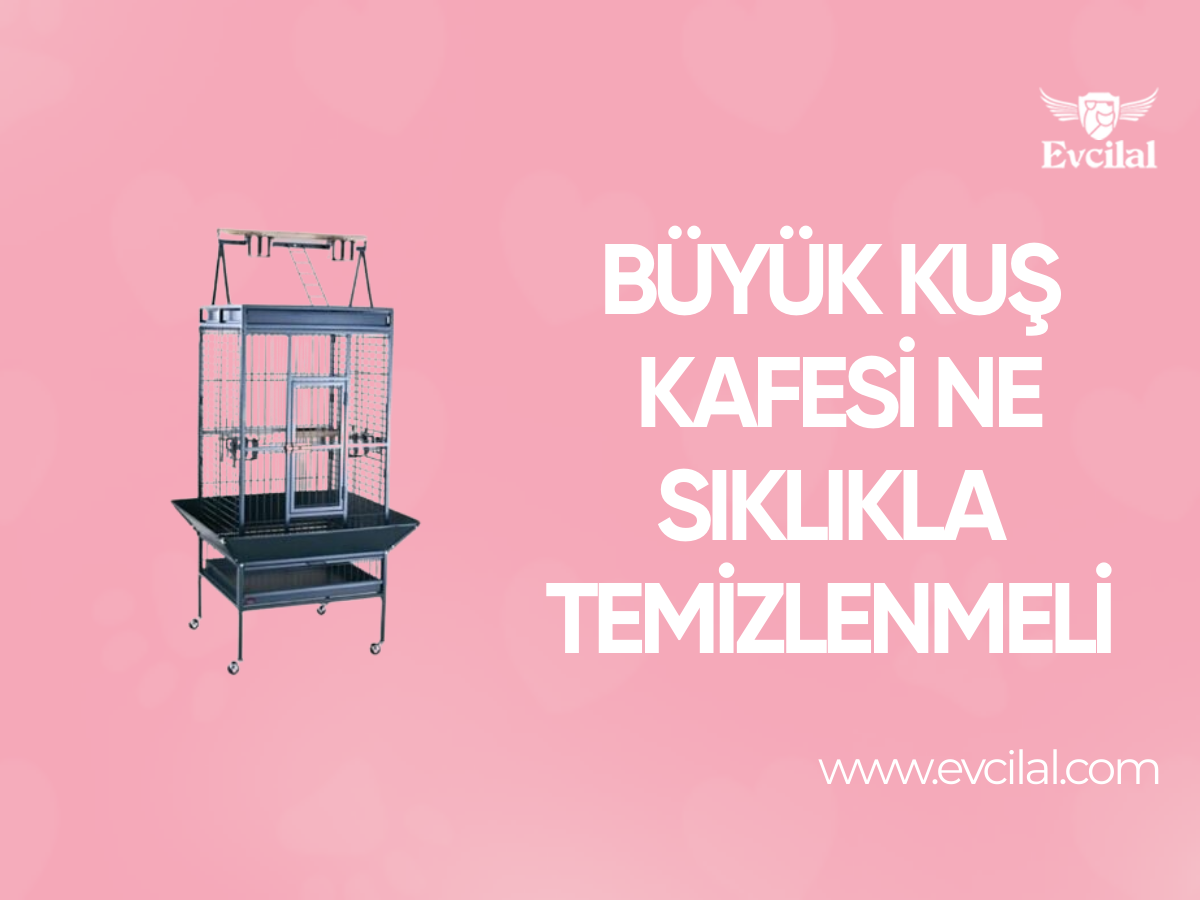 Büyük Kuş Kafesi Ne Sıklıkla Temizlenmeli