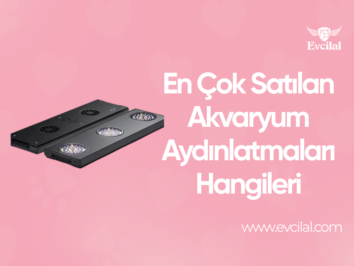 En Çok Satılan Akvaryum Aydınlatmaları Hangileri
