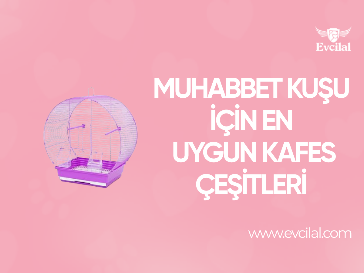 Muhabbet Kuşu İçin Hangi Kafes Çeşitleri Daha Uygundur?